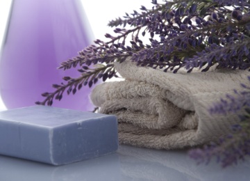 lavender-3066531 1920 lavender-3066531 1920